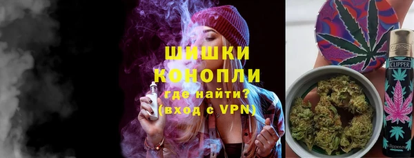 СК Медногорск