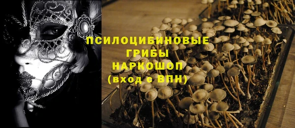 apvp Медвежьегорск