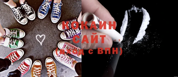 твердый Мегион