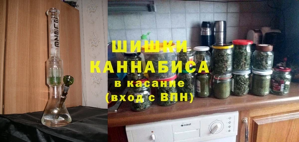 твердый Мегион