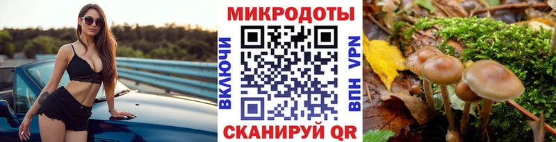 Галлюциногенные грибы Cubensis  купить   hydra как войти  Макарьев 